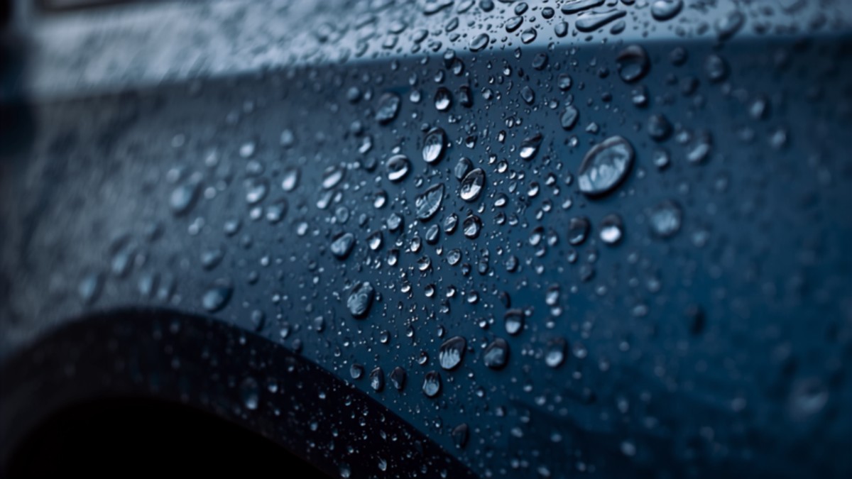 雨に濡れた濃紺のボディに水滴が並んでいる様子